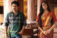 NTR Dammu Exclusive Stills